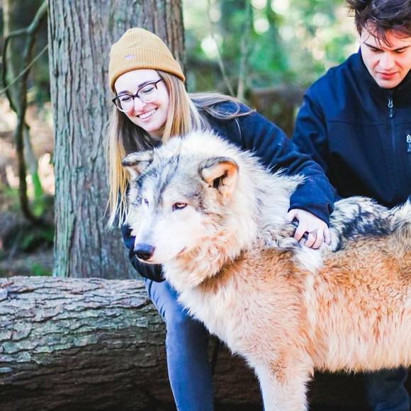 Meet your Posher, Kim - Picture 1 of 1